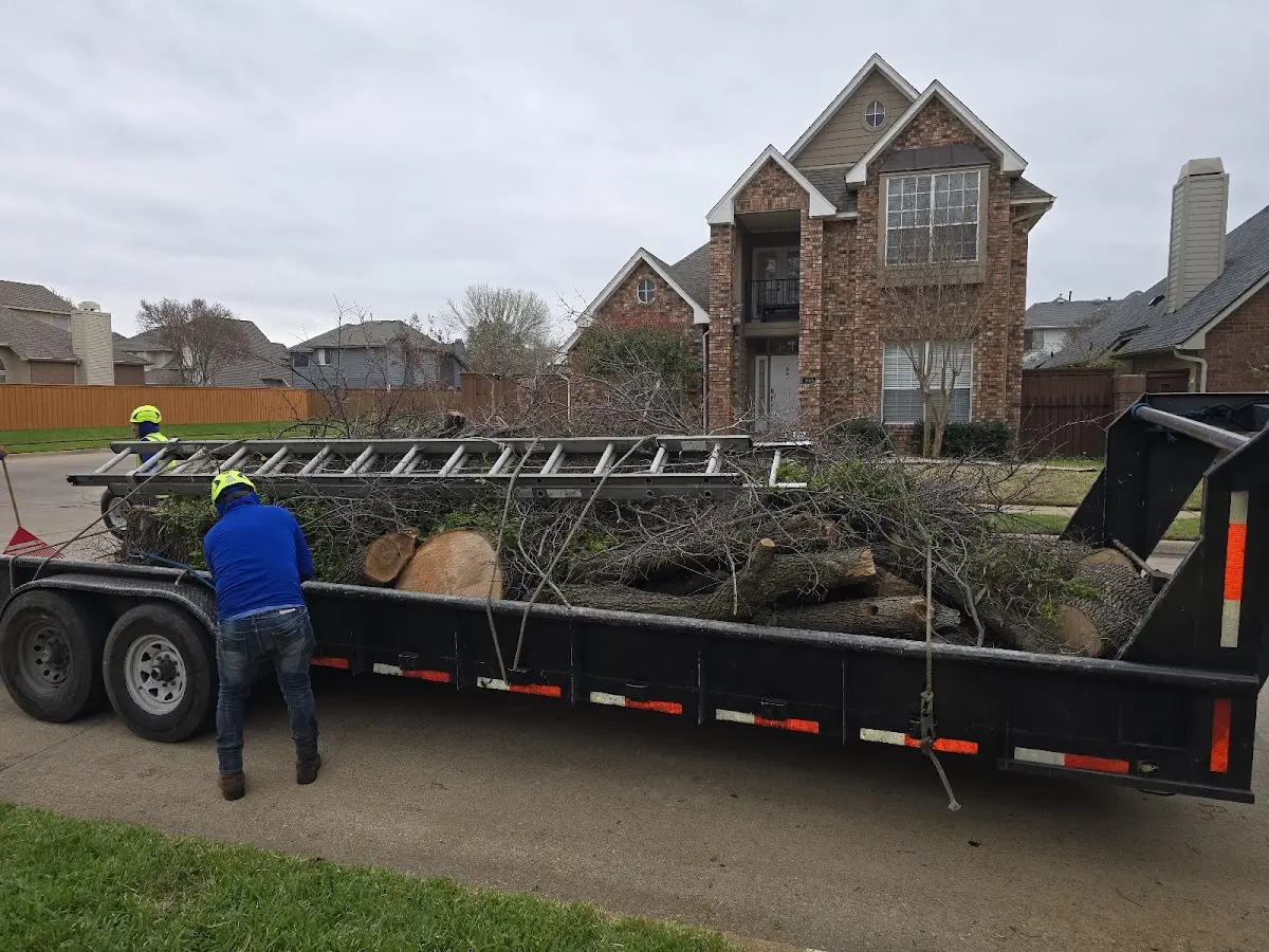 Expert Tree Pest Control with proper safety equipment in La Center